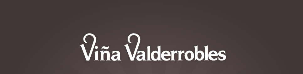 Viña Valderrobles